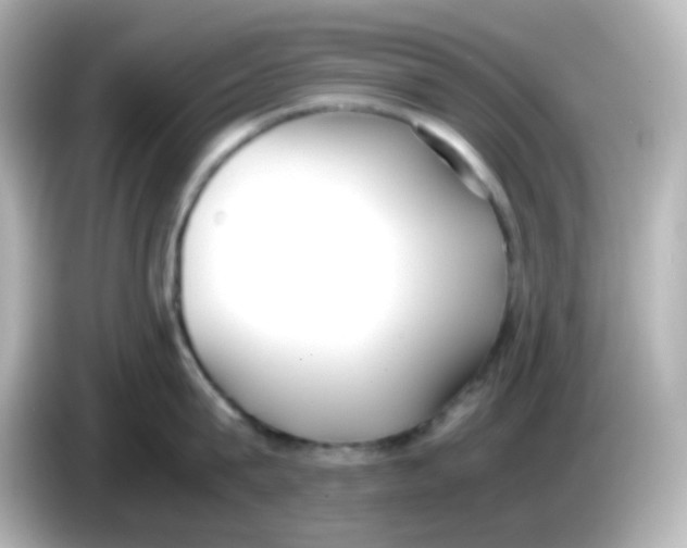 X0000085780815200704091410