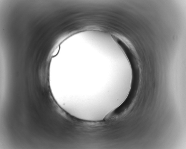 X0000085780816200704091410