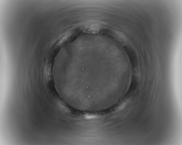 X0000085780818200704091410