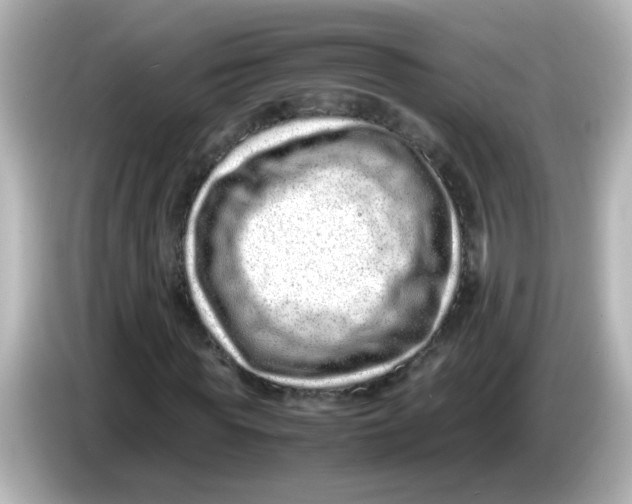 X0000085780819200704091410