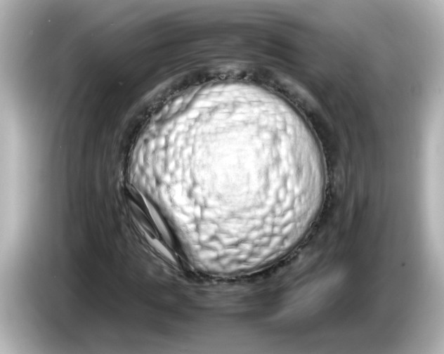 X0000085780821200704091410