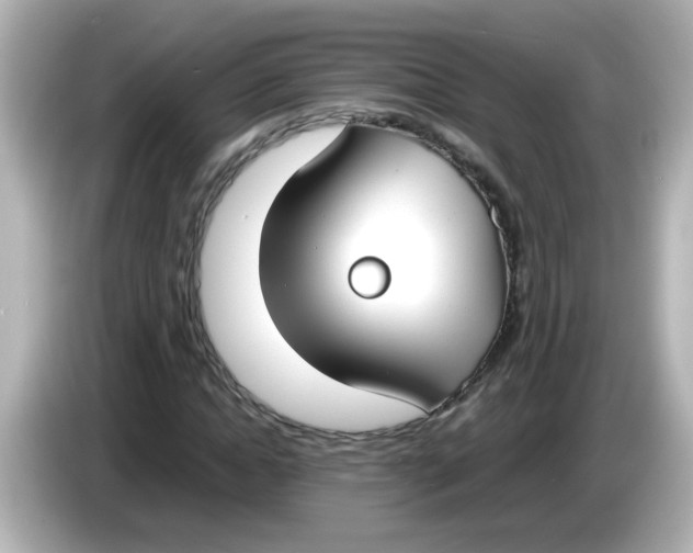 X0000085780822200704091410