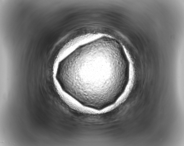 X0000085780823200704091410