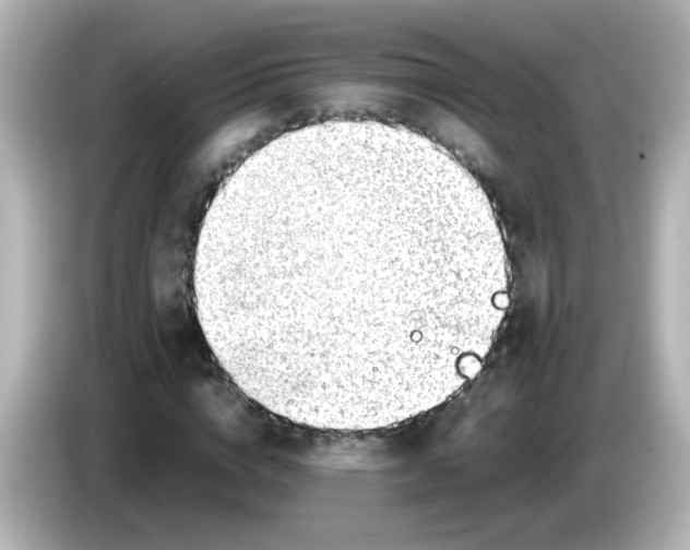 X0000085780824200704091410