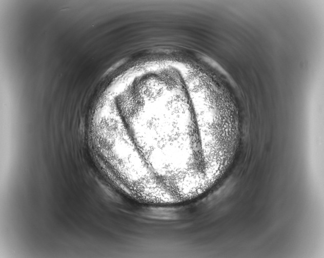 X0000085780825200704091410