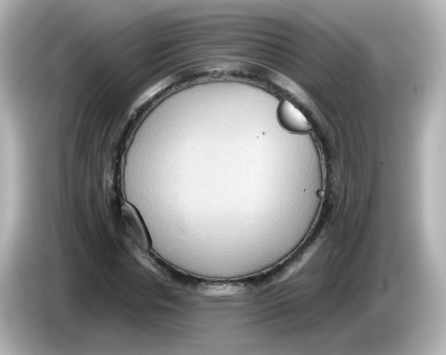 X0000085780826200704091410