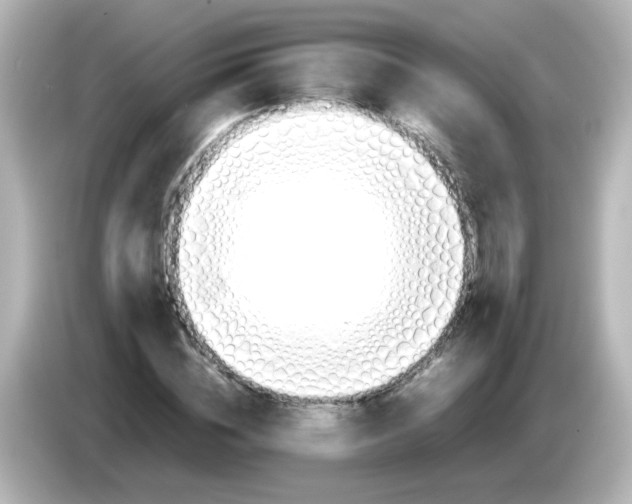 X0000085780828200704091410