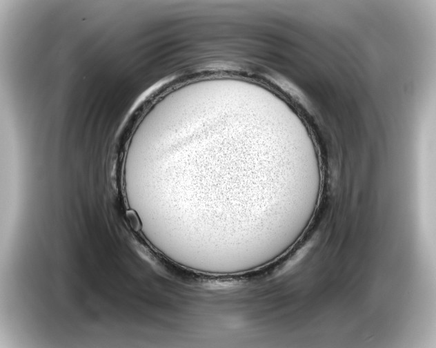 X0000085780830200704091410