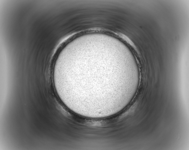 X0000085780831200704091410