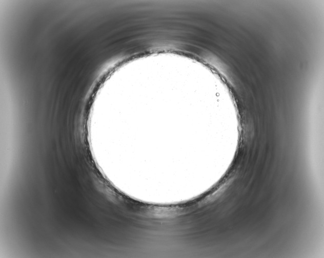 X0000085780832200704091410