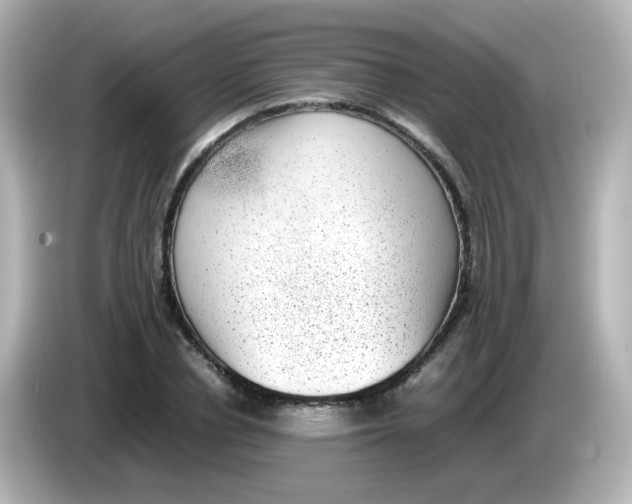 X0000085780834200704091410