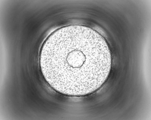 X0000085780836200704091410