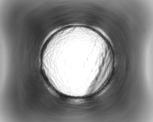 X0000085780837200704091410