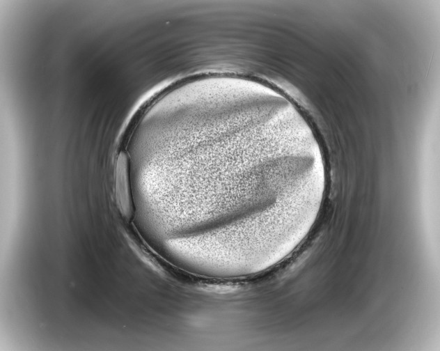 X0000085780838200704091410