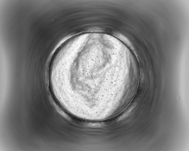 X0000085780843200704091410