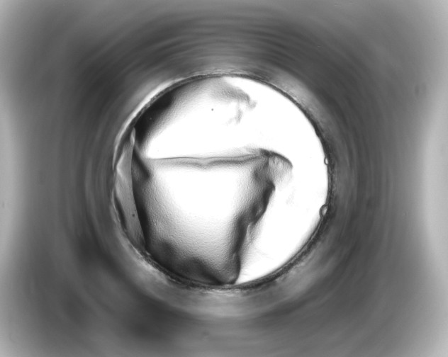 X0000085780844200704091410