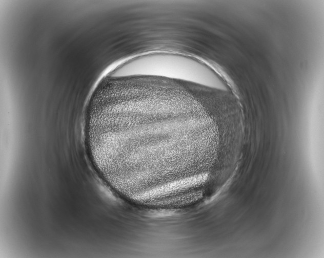 X0000085780846200704091410