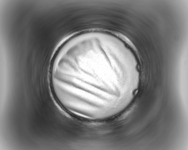 X0000085780847200704091410