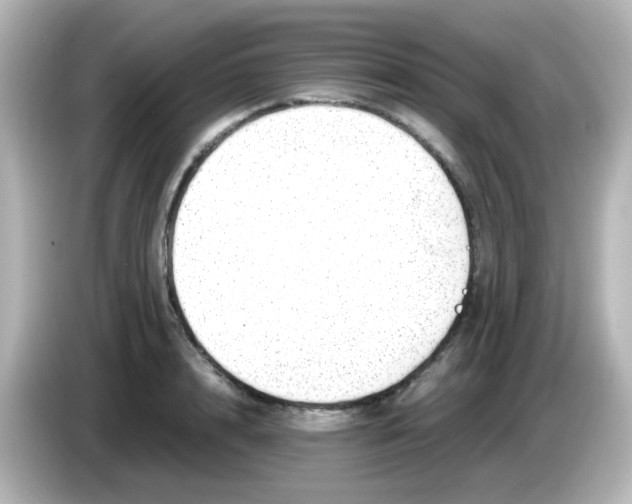 X0000085780848200704091410