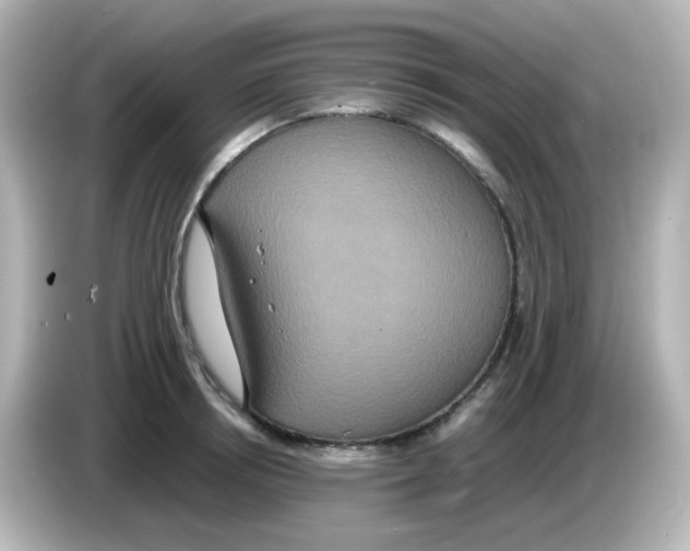 X0000085780850200704091410