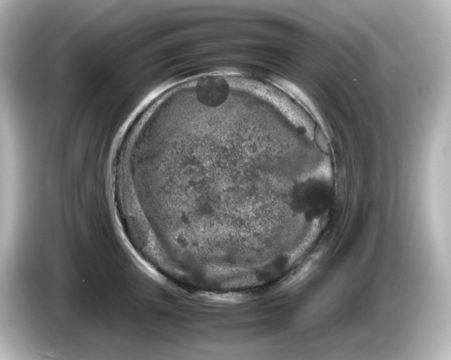 X0000085780851200704091410