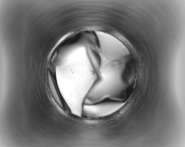 X0000085780852200704091410