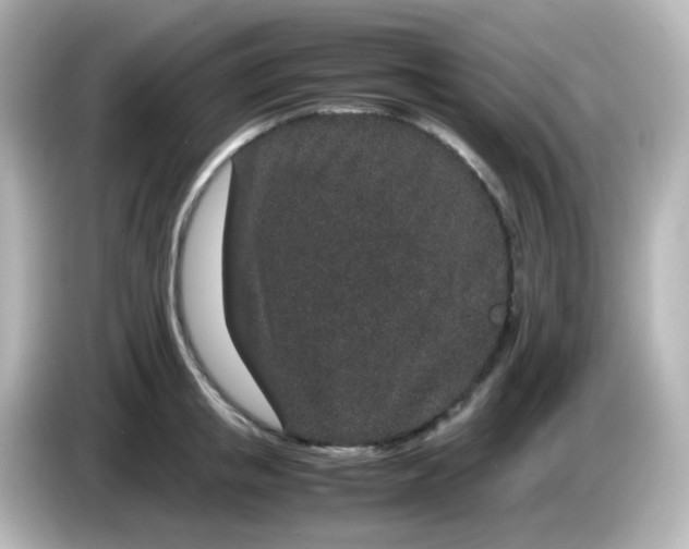 X0000085780853200704091410