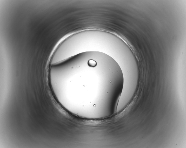 X0000085780854200704091410