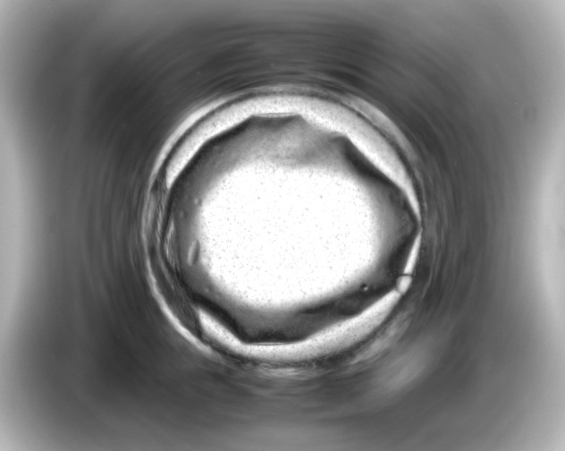 X0000085780855200704091410