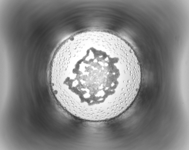 X0000085780856200704091410