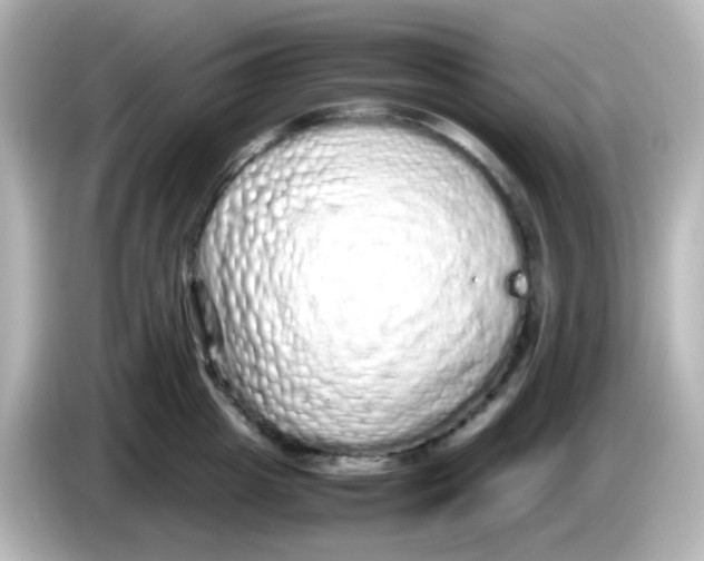 X0000085780857200704091410