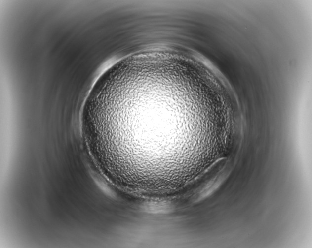 X0000085780858200704091410