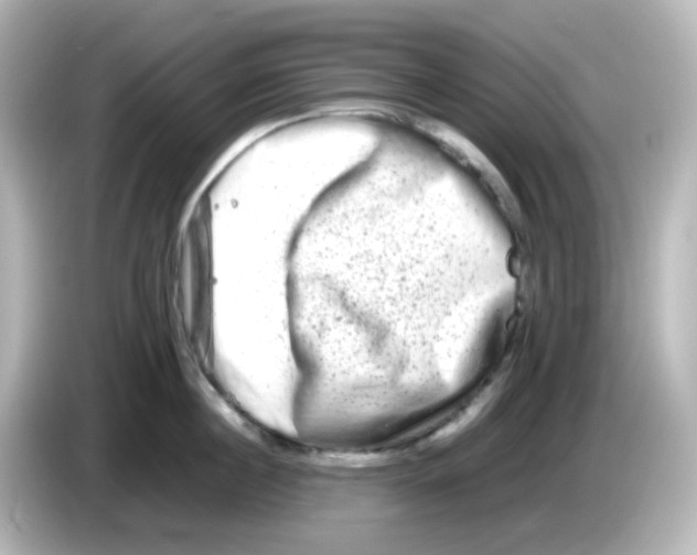 X0000085780860200704091410