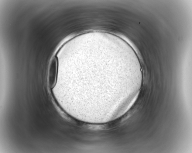 X0000085780861200704091410