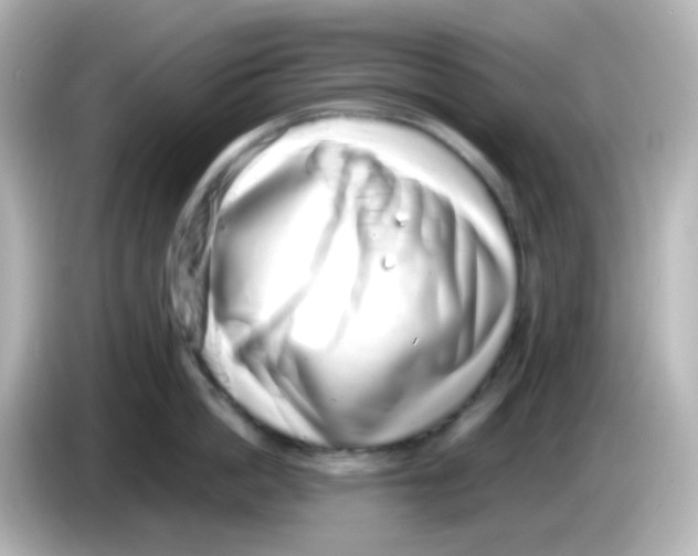 X0000085780862200704091410