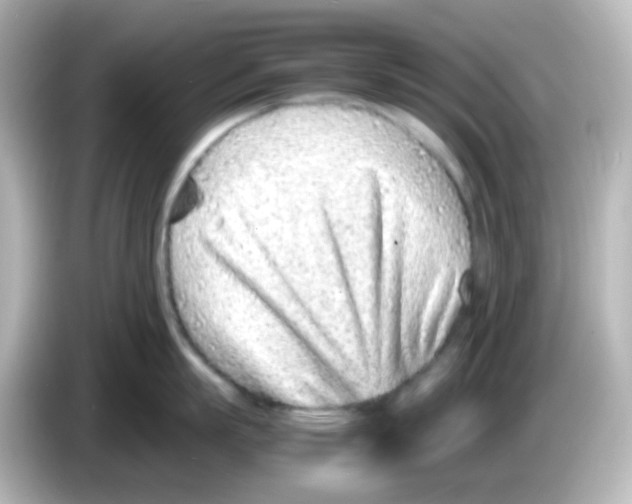 X0000085780863200704091410