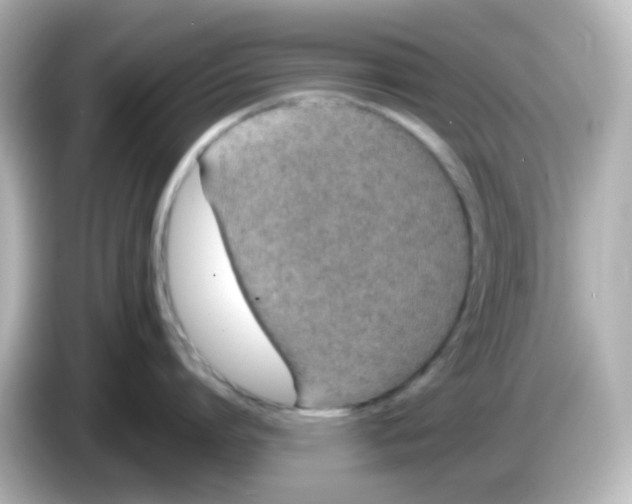 X0000085780864200704091410