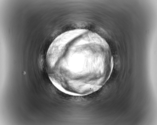 X0000085780866200704091410