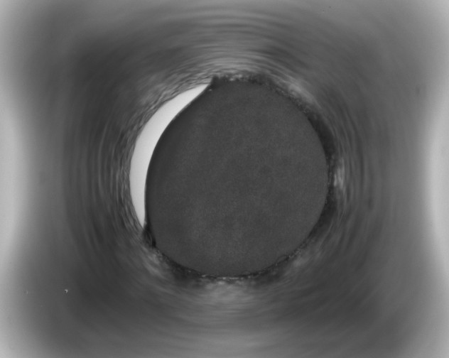 X0000085780868200704091410