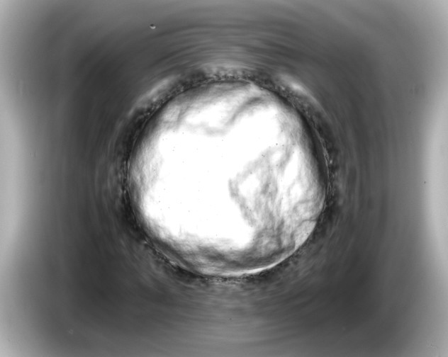 X0000085780870200704091410