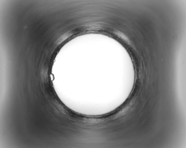 X0000085780873200704091410