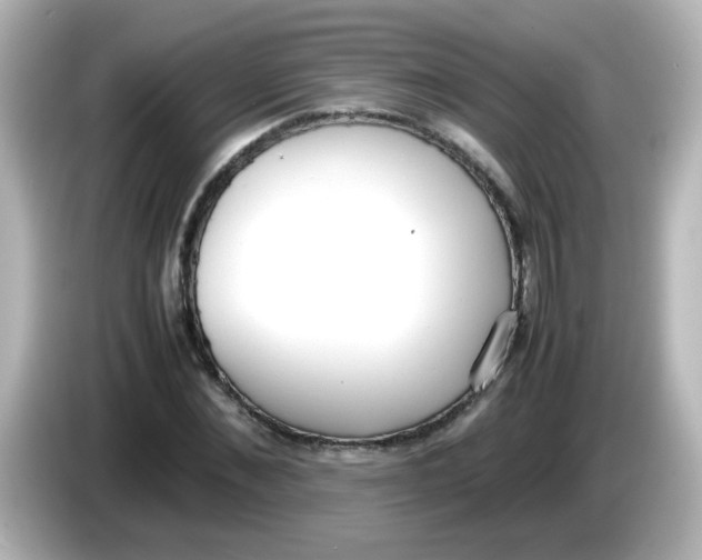 X0000085780876200704091410