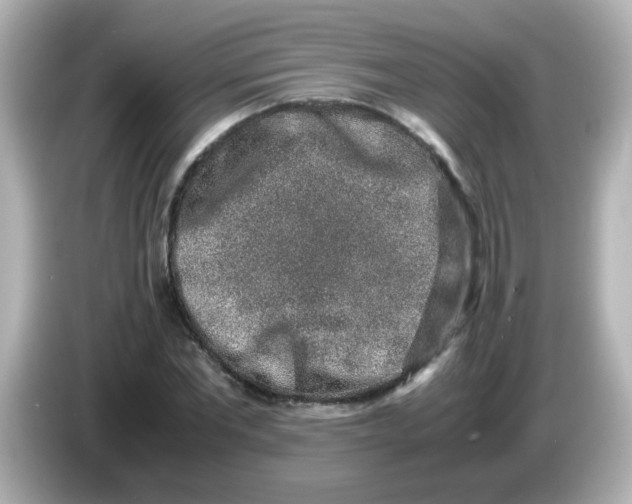 X0000085780877200704091410