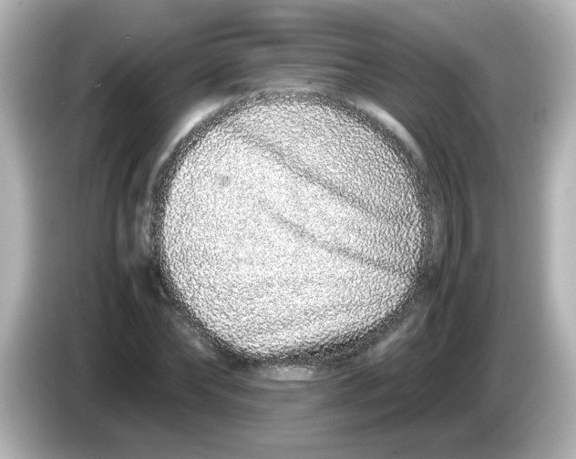 X0000085780878200704091410