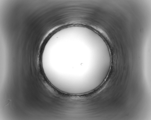 X0000085780880200704091410