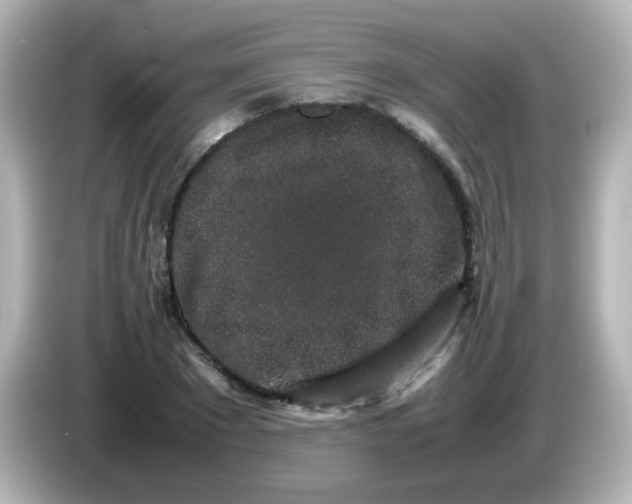 X0000085780881200704091410