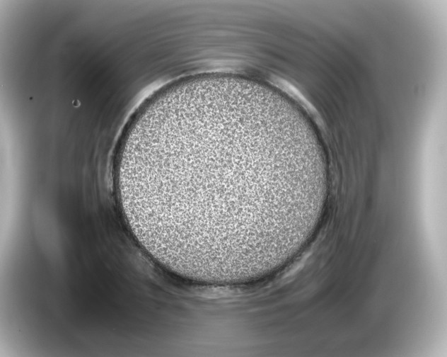 X0000085780883200704091410