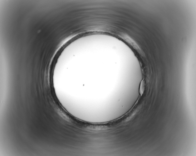 X0000085780884200704091410