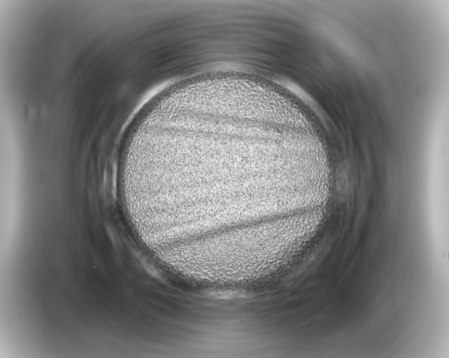 X0000085780886200704091410