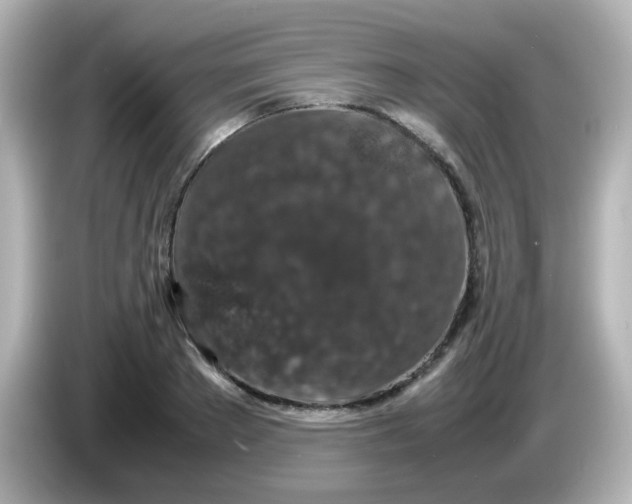 X0000085780889200704091410